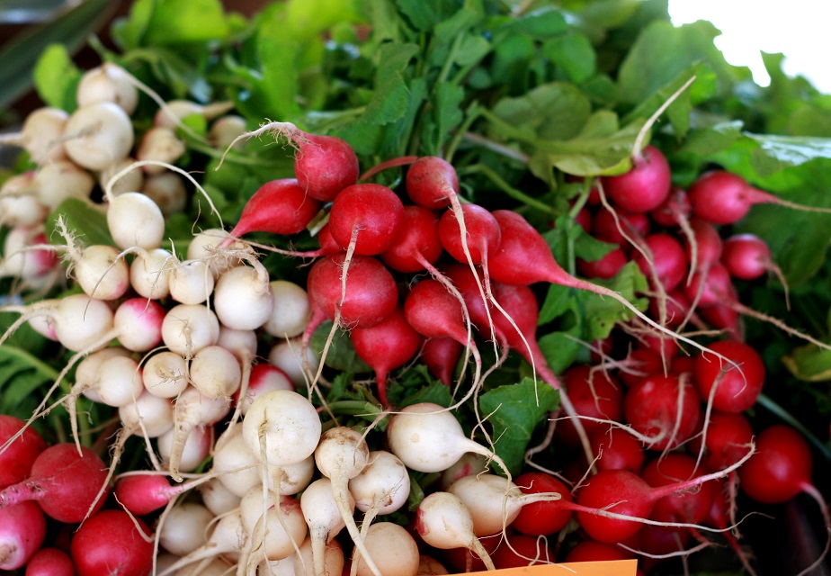 What's the Dish on Radishes? Kidney Diet Tips