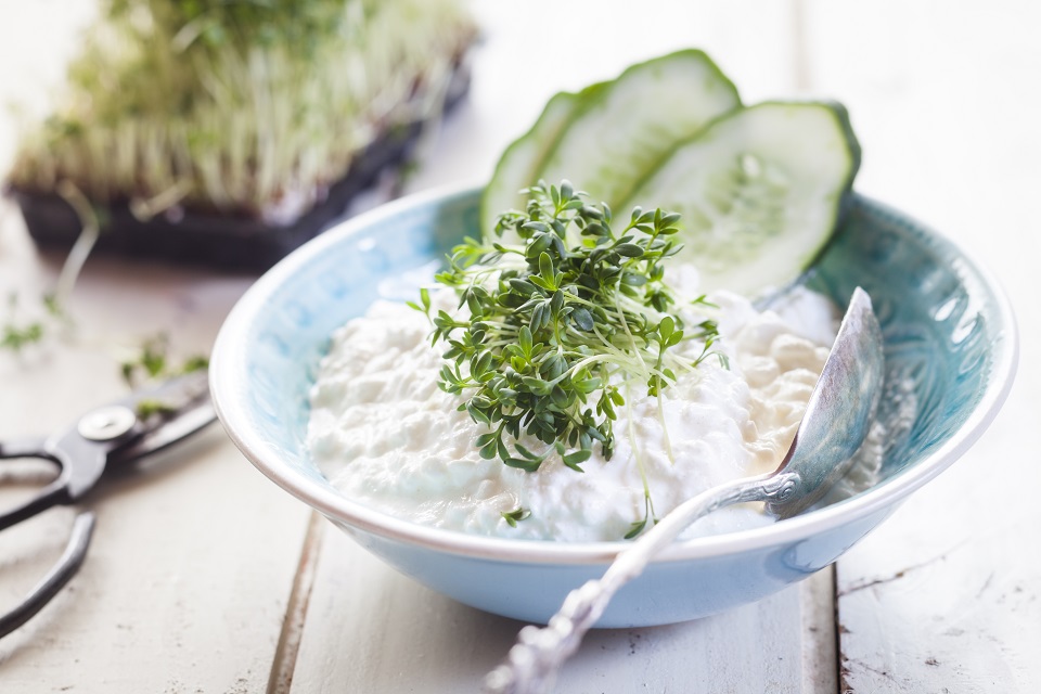 Food Facts Friday: Cottage Cheese - Kidney Diet Tips