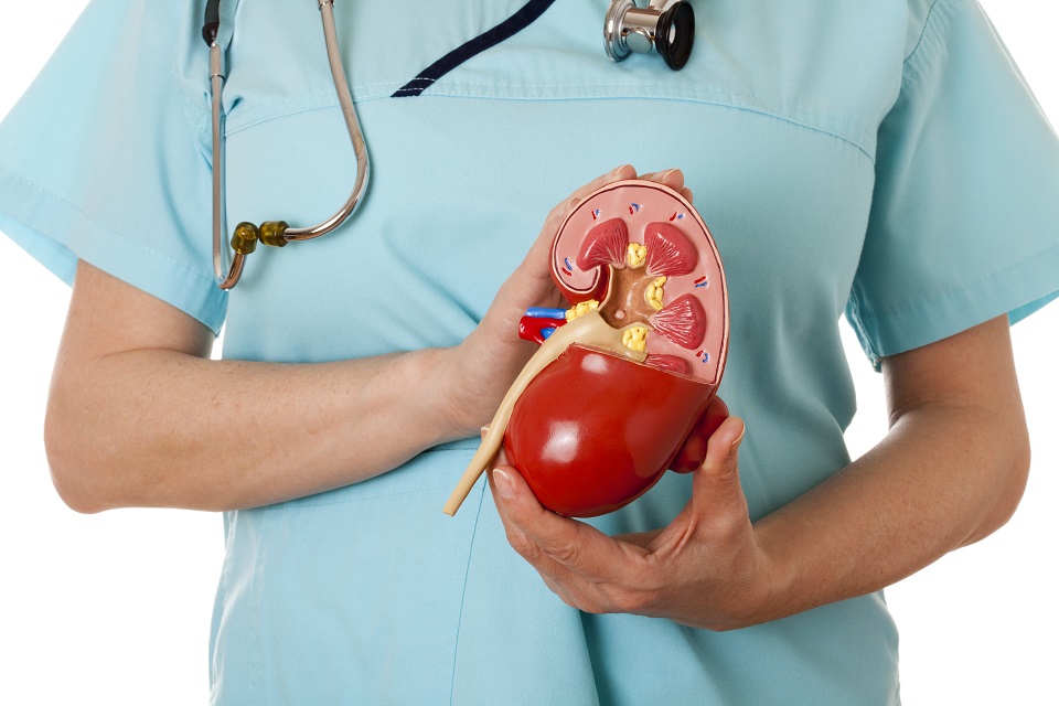Kidney Transplant Preparation Kidney Diet Tips