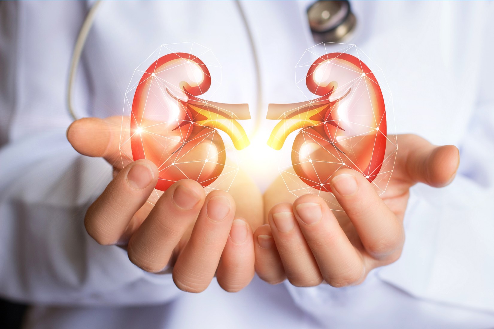 The Self-Regulating Bioartificial Kidney, Part 1: Anatomy of the Device